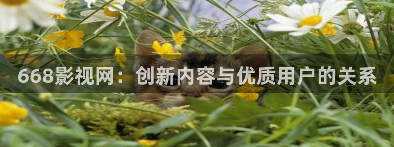 粉色樱花视频