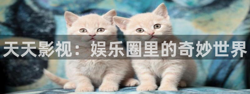 www樱花视频
