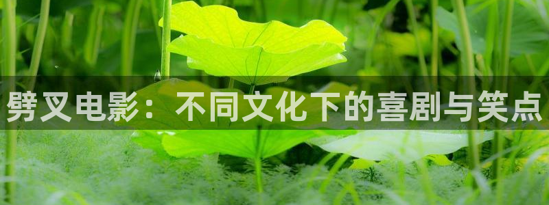 樱花视频高清观看电影