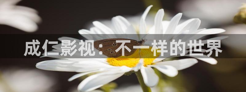 樱花视频免费看