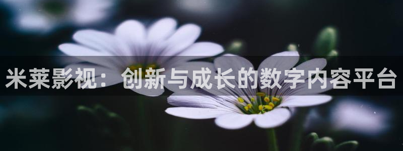 我能触碰你的深处吗樱花视频