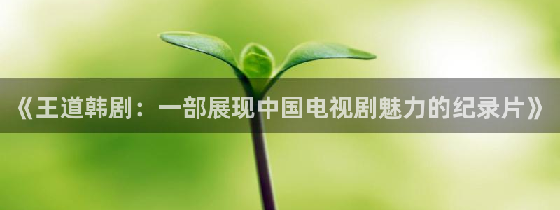 樱花视频全集：《王道韩剧：一部展现中国电视剧魅力的纪录片》