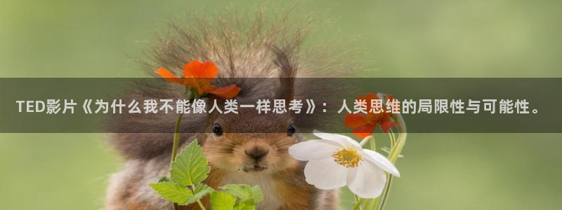 樱花视频ios：TED影片《为什么我不能像人类一样思考》：人类思维的局限性与可能性。