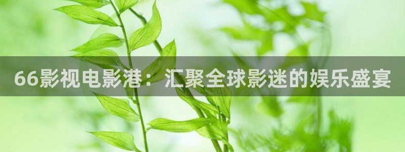 樱花视频安装