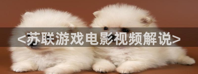 大连樱花视频