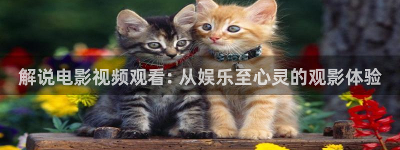 樱花视频污版