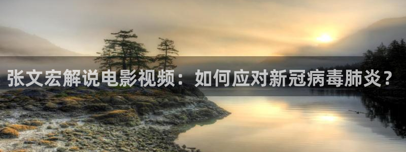 樱花视频在线观看高清电视剧