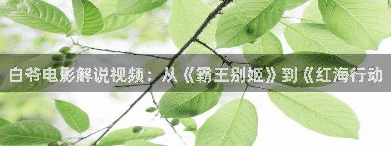 樱花视频最新