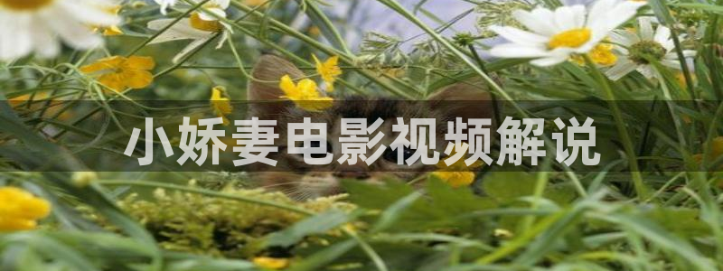 樱花影视院