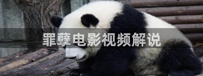 樱花影院在线观看电视