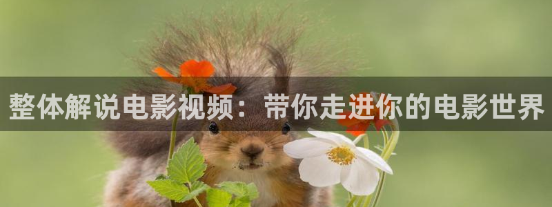 樱花视频樱花