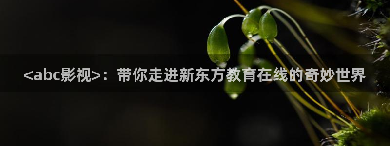 缘之空樱花影院