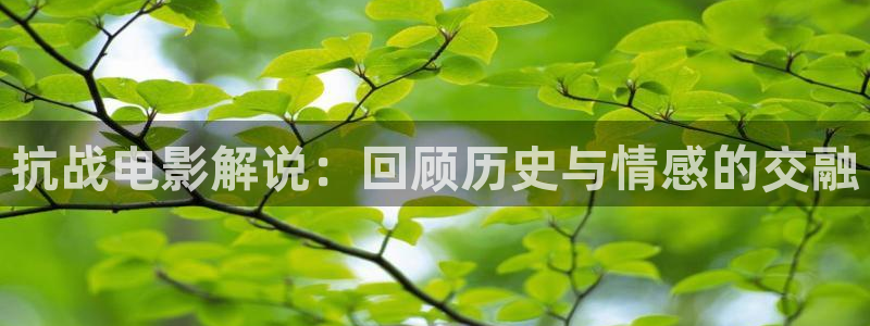 樱花影视.