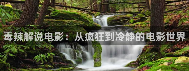 樱花视频hol