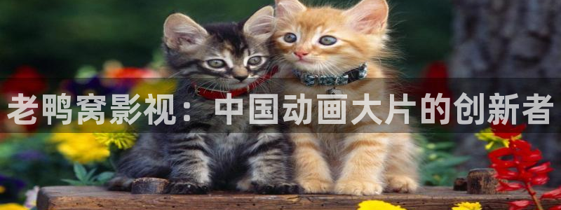 樱花视频原神