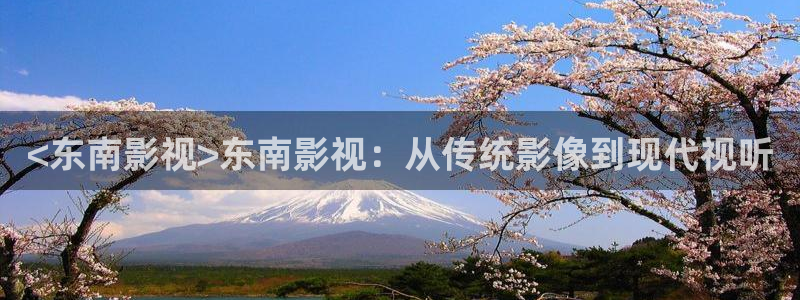 樱花视频热播剧排行榜
