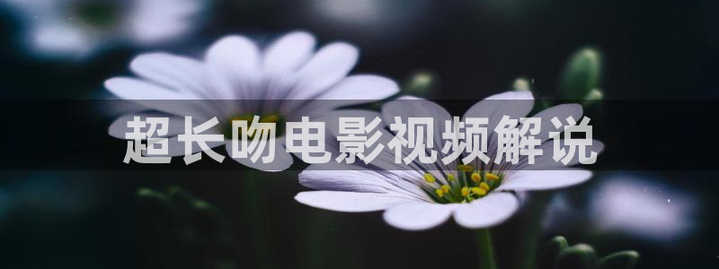 樱花影院高清在线观看