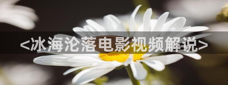 樱花视频动漫网