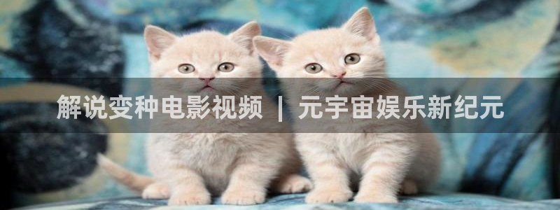 僧侣之夜樱花视频