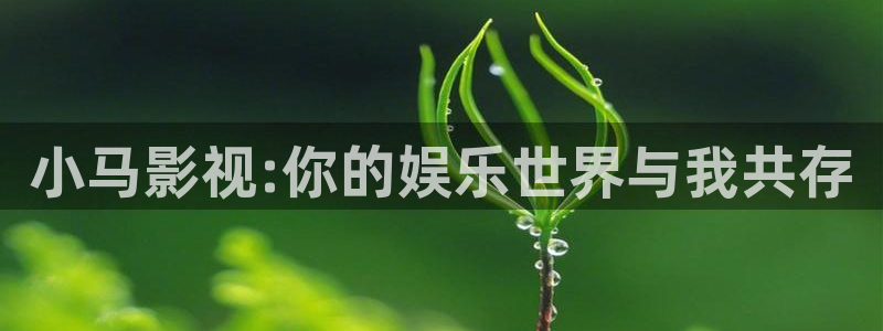 盾之勇者成名录樱花视频