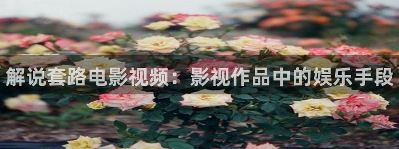 樱花视频大全免费观看电视剧