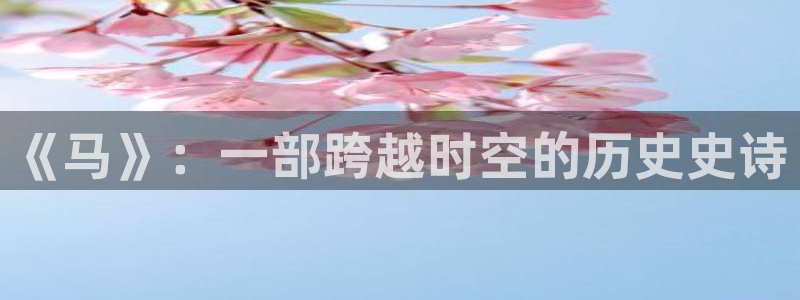 樱花视频免费观看