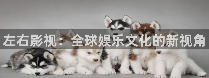 樱花视频手机版