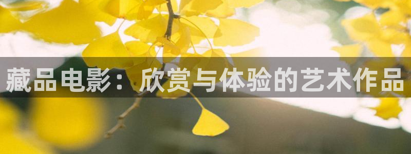 浪客剑心1免费观看樱花视频