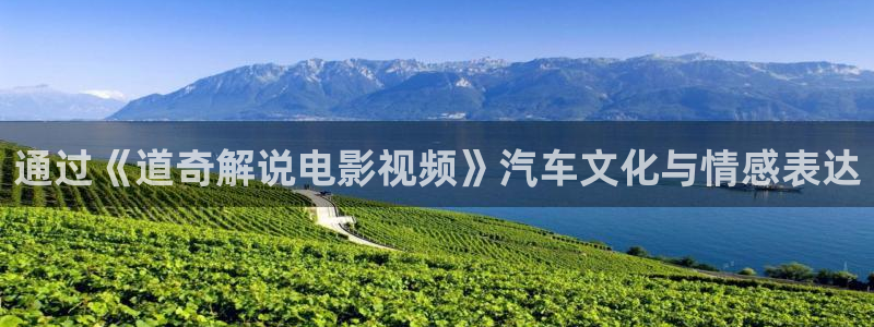 樱花影院在线免费看的电视剧