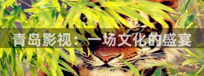樱花视频啊
