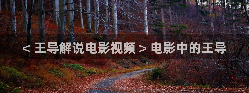 樱花视频在线看www