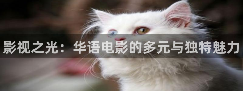 樱花视频免费观看网站