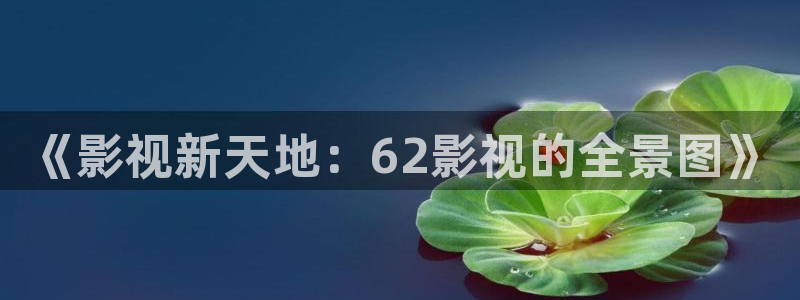 樱花视频伦理