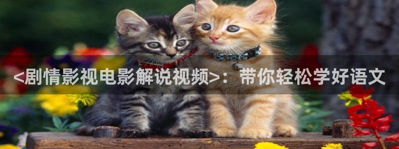 樱花影视网页