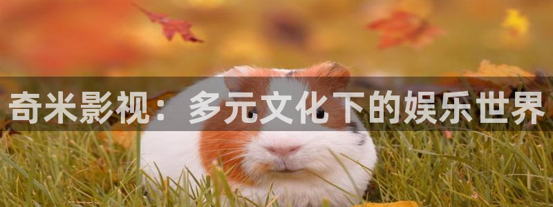 樱花视频免费版高清在线观看