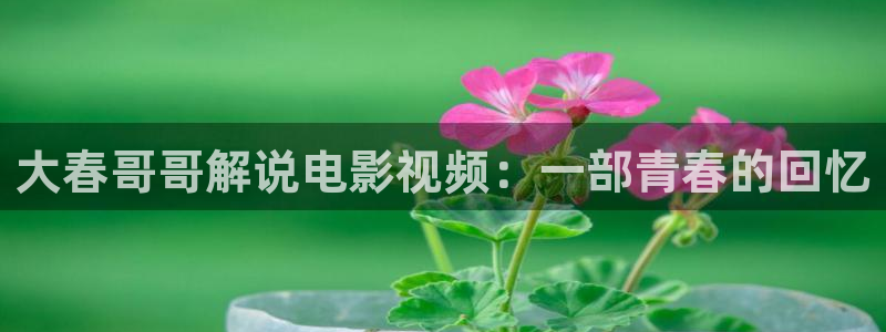 樱花视频高清免费看电视剧