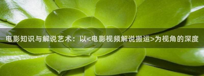 樱花影院app电视剧免费