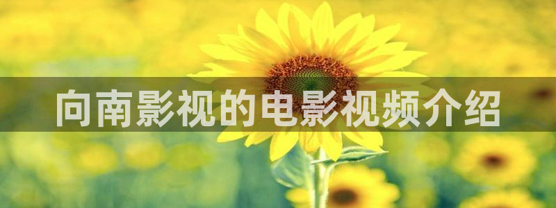 樱花视频如何下载