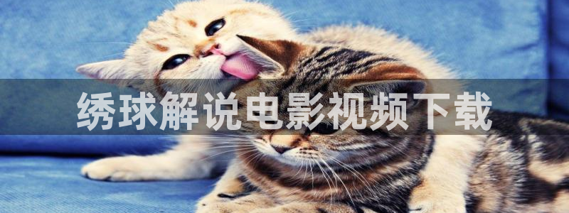 樱花视频樱花视频樱花视频