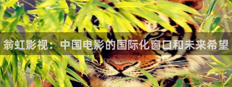 樱花视频软