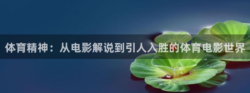 樱花视频9