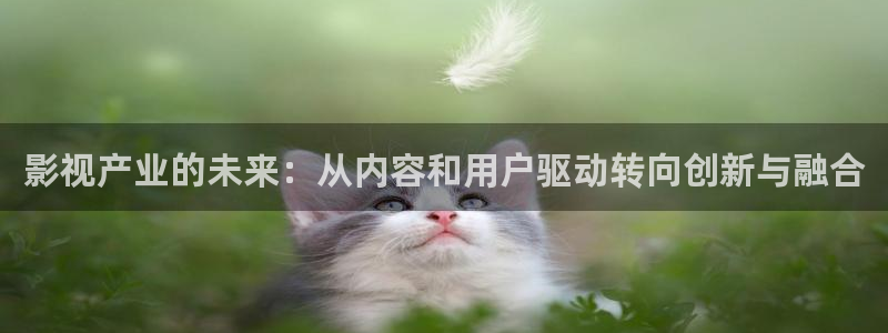 樱花视频在线入口：影视产业的未来：从内容和用户驱动转向创新与融合