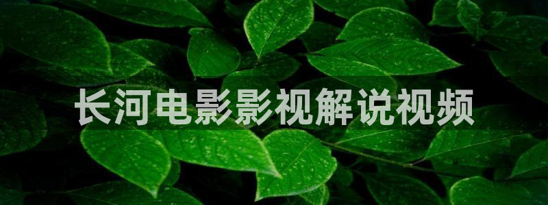 独步逍遥樱花视频：长河电影影视解说视频