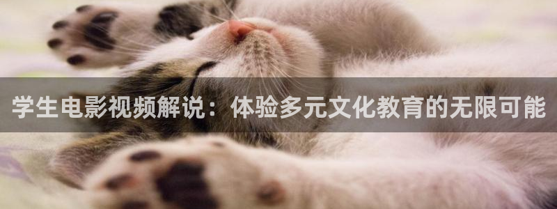 樱花影院电视剧免费魅影：学生电影视频解说：体验多元文化教育的无限可能