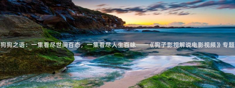 樱花影院网站在线观看电视剧：狗狗之语：一集看尽世间百态，一集看尽人生百味——《狗子影视解说电影视频》专题