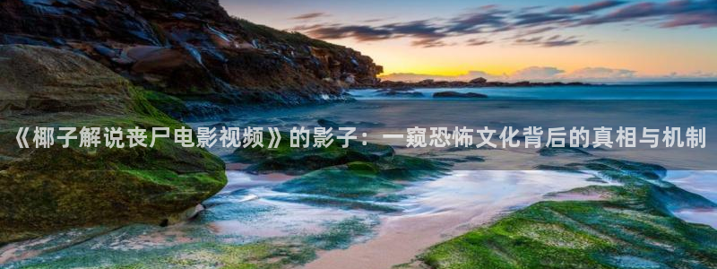 国产樱花视频：《椰子解说丧尸电影视频》的影子：一窥恐怖文化背后的真相与机制