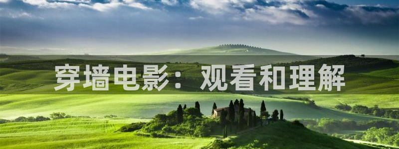 樱花视频m：穿墙电影：观看和理解