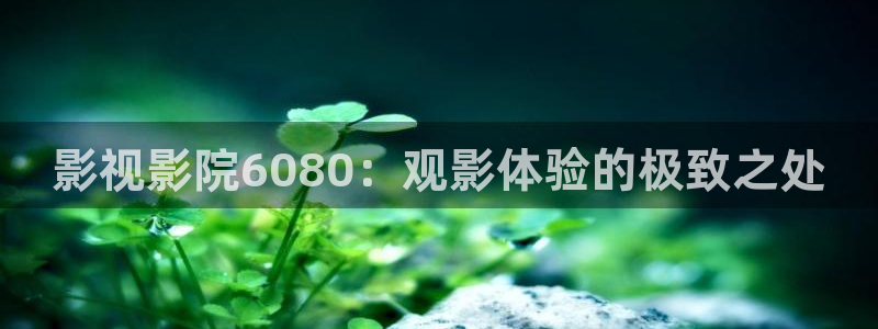 樱花视频app官网：影视影院6080：观影体验的极致之处